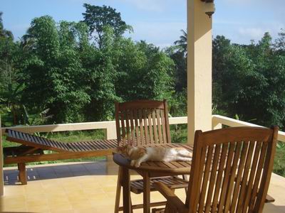 veranda at havana horses