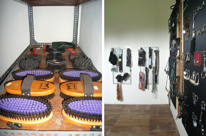 havana tack shop