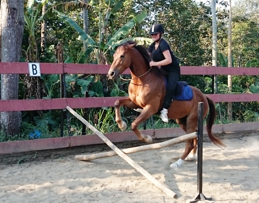 Jumping with the bareback pad and a neck ring!