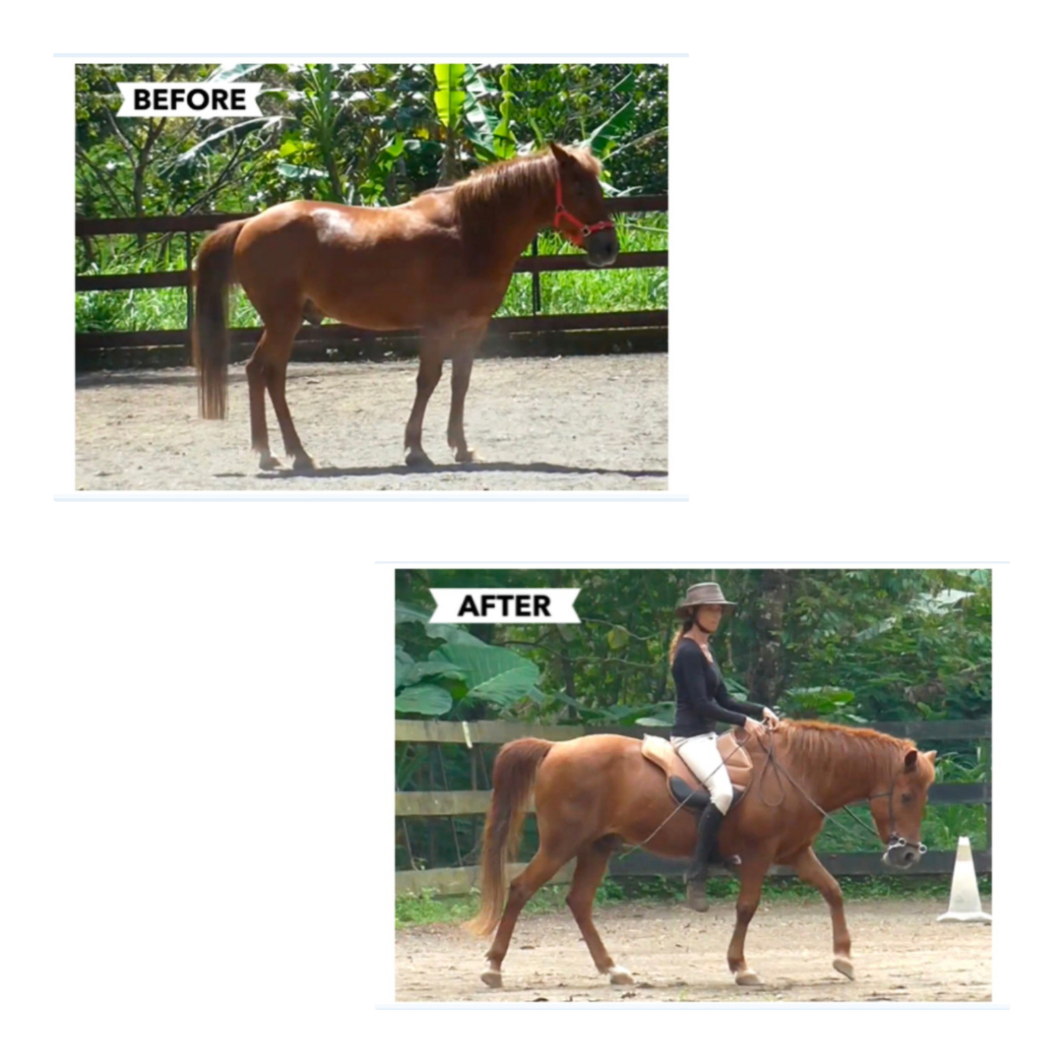 before and after