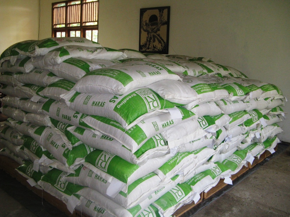 horse feed