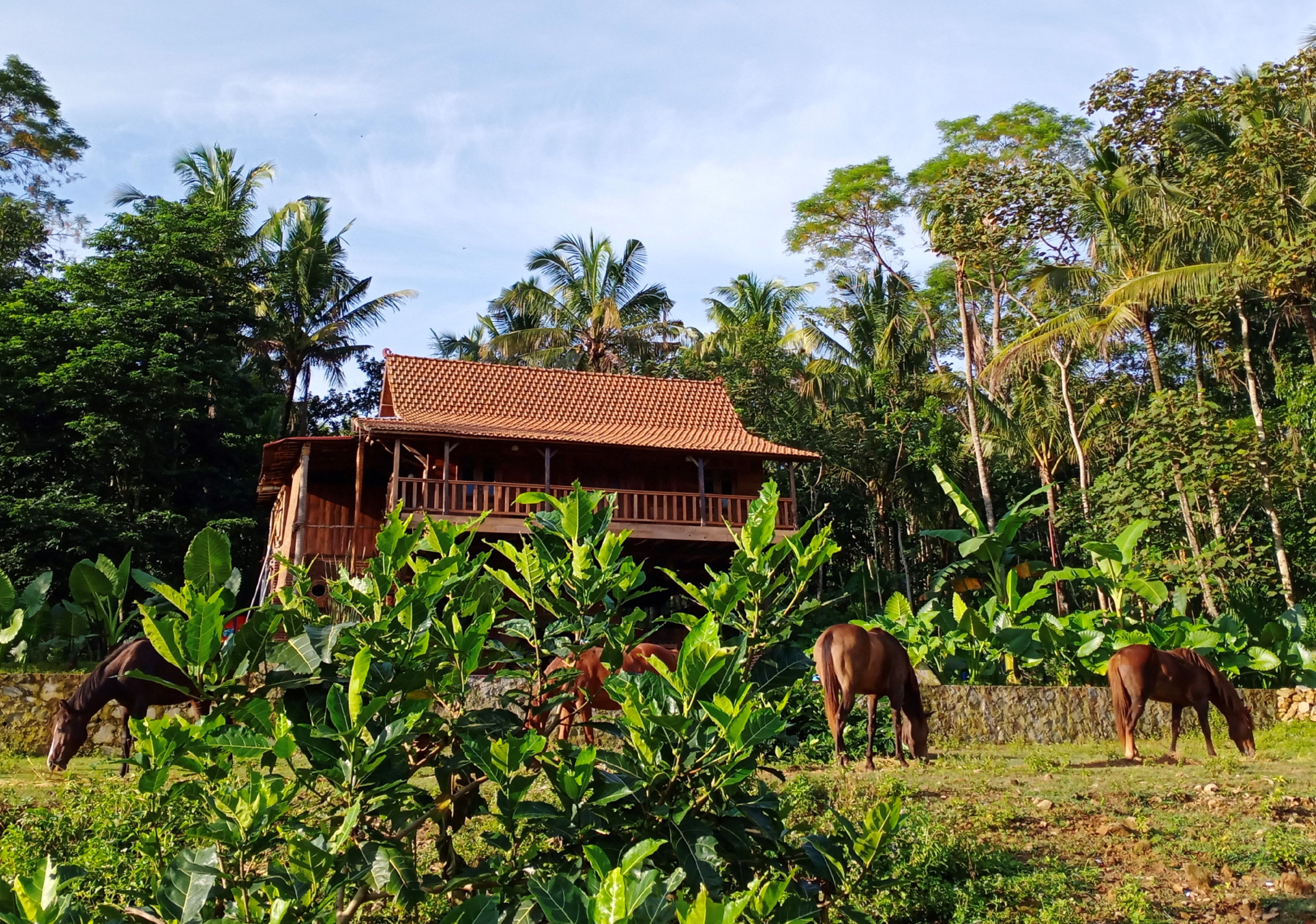 Stay close to the horses in the Lodge