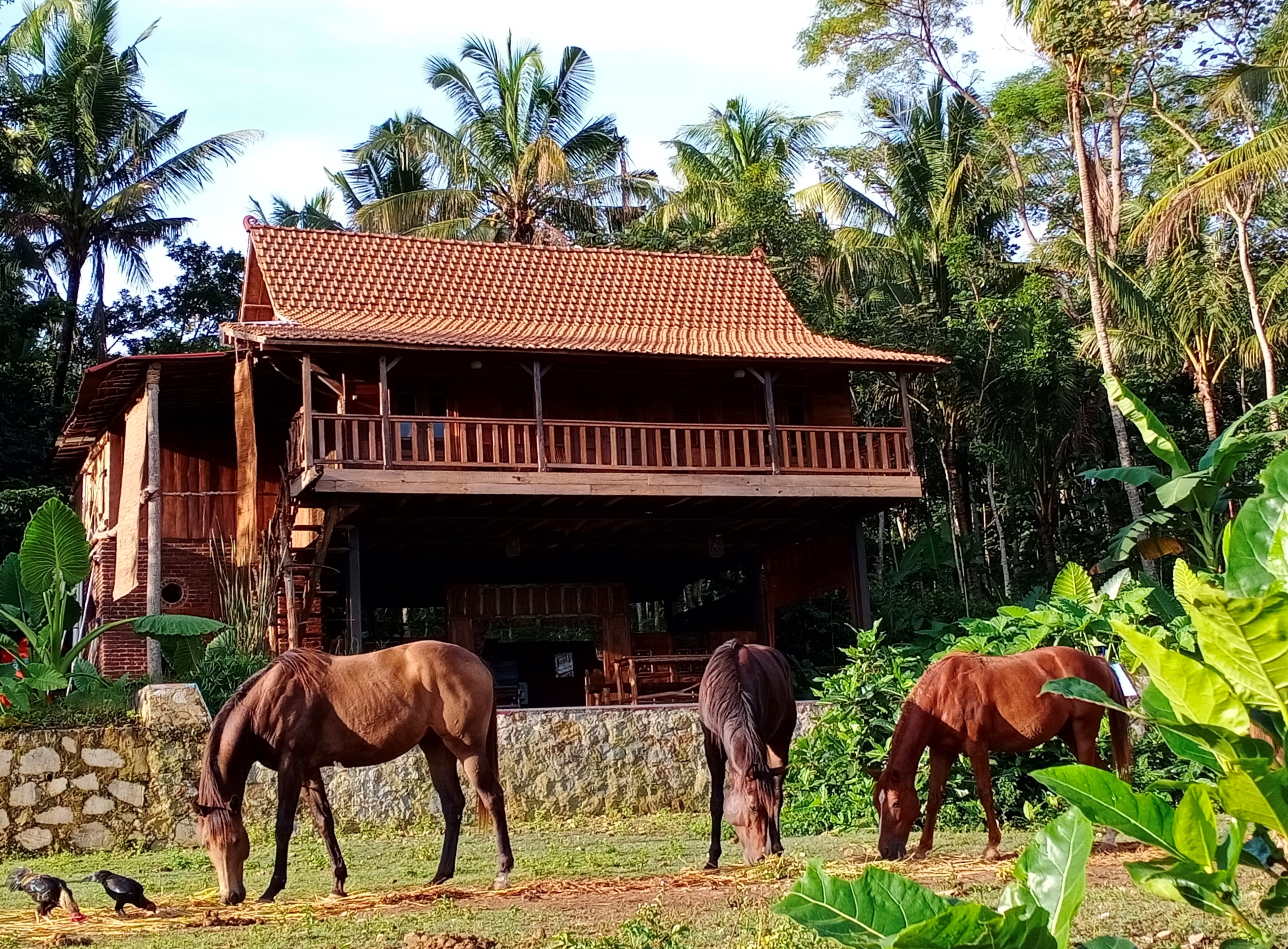 Havana Horses Lodge