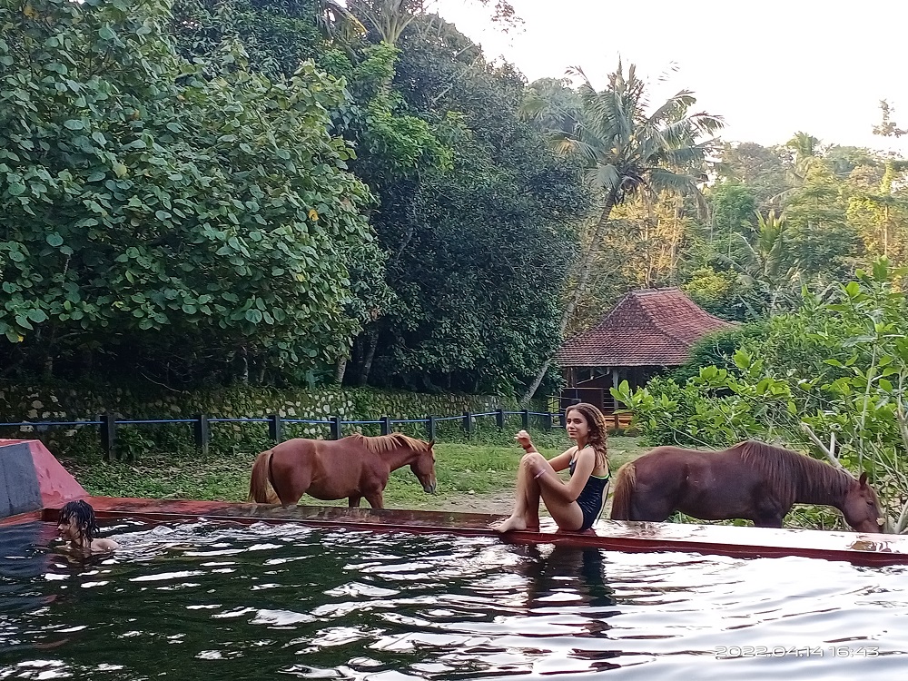 Havana Horses Lodge