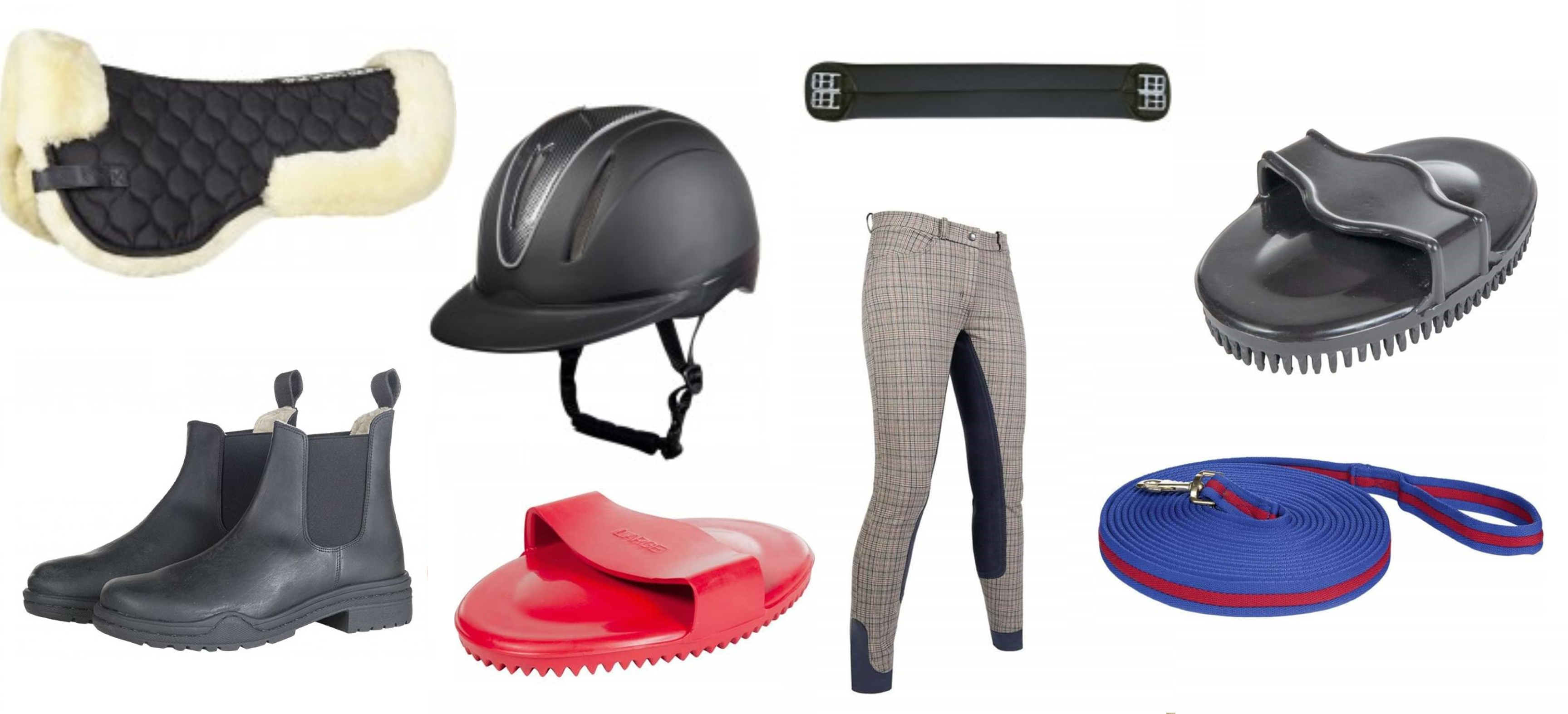 training & riding equipment