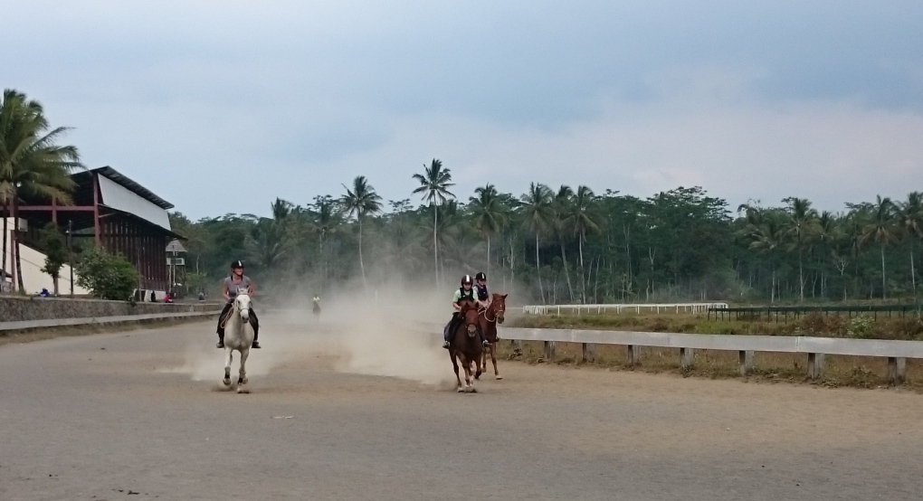 Feel like a real jockey on the race course