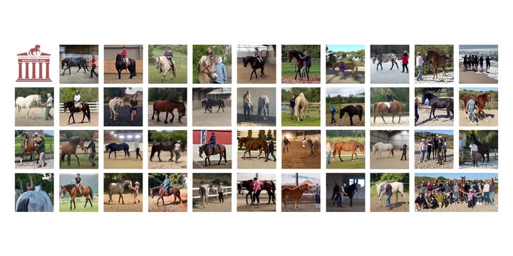 Straightness Traning Network