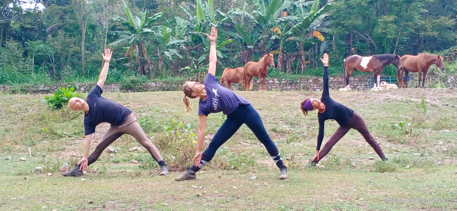 horse yoga