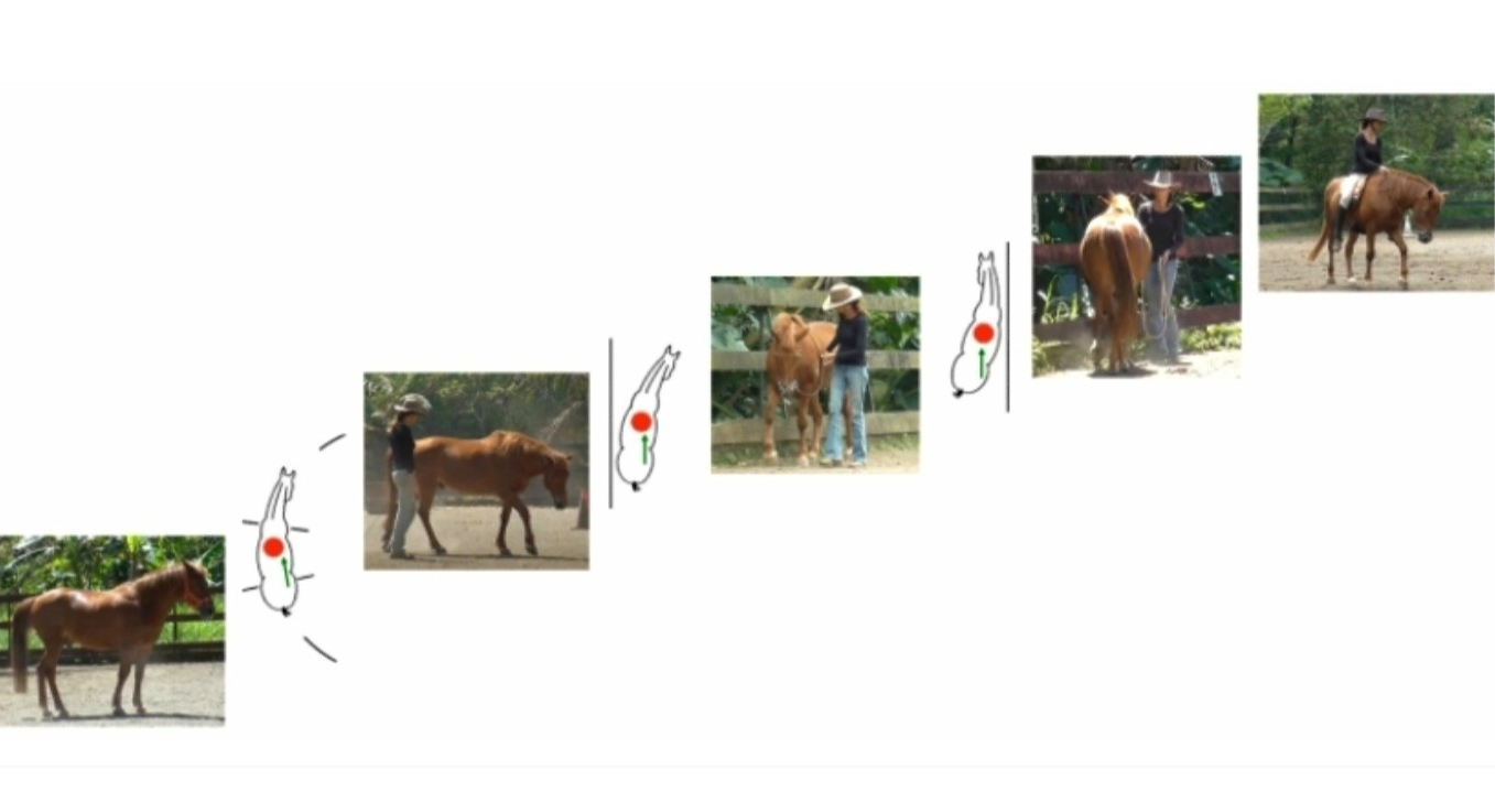 Progressive exercises